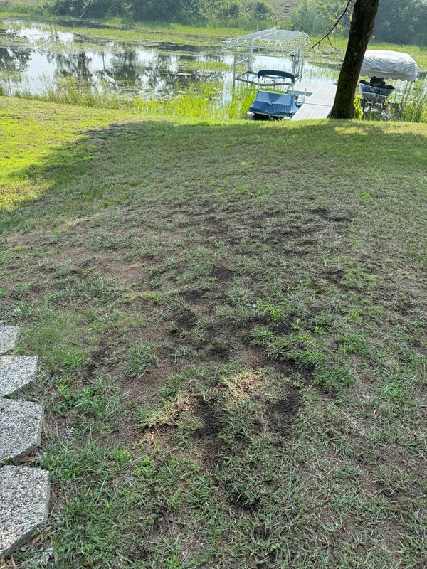 Land Clearing und Grading