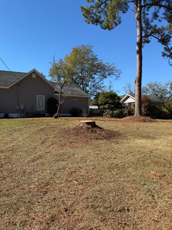Stump Removal
