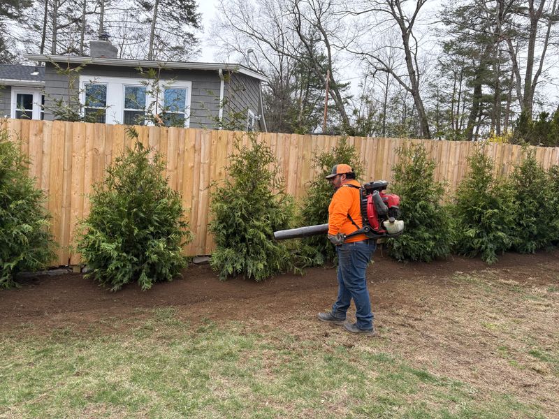 Landscaping