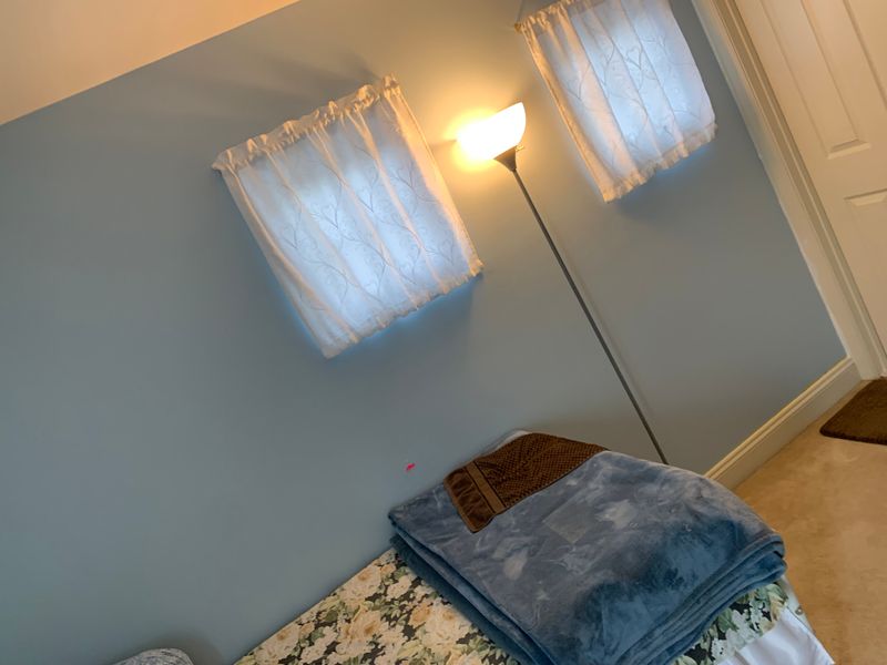 Interior Painting Projects