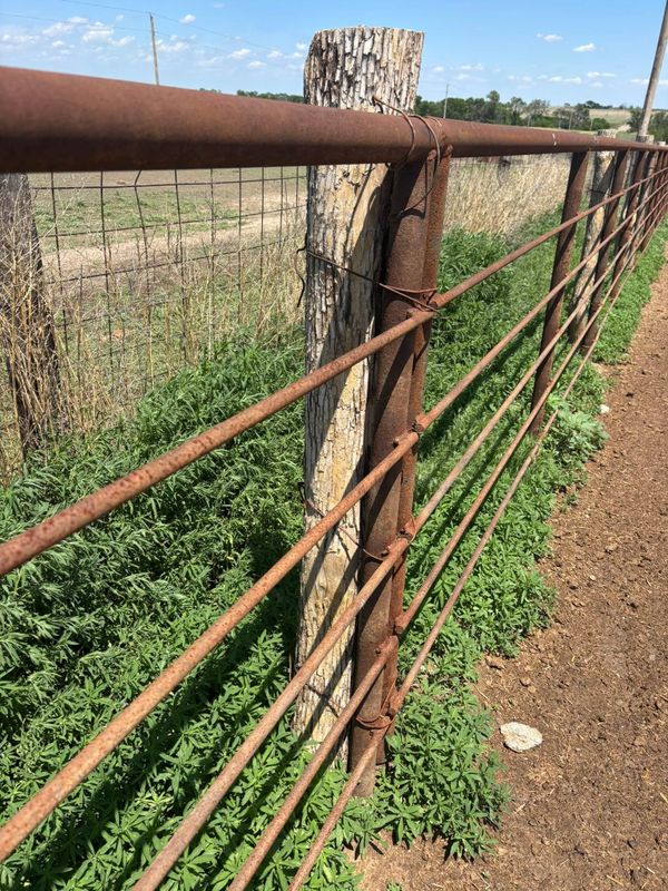 Fence Maintenance