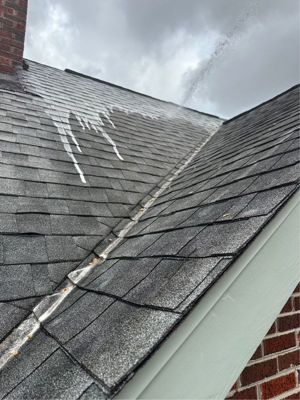 Roofs