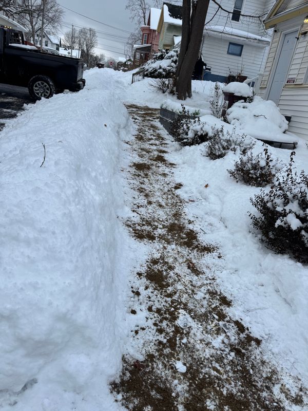 Seasonal Clean-up Services