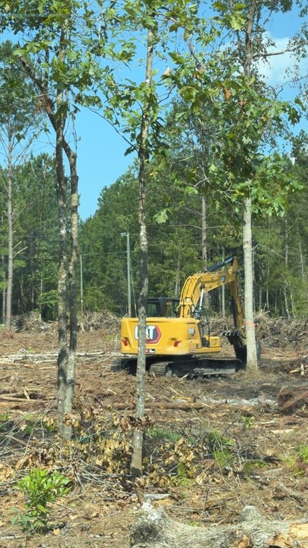Land Clearing