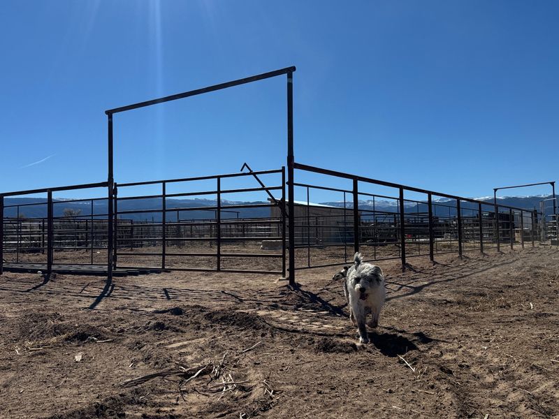 Fence Installation