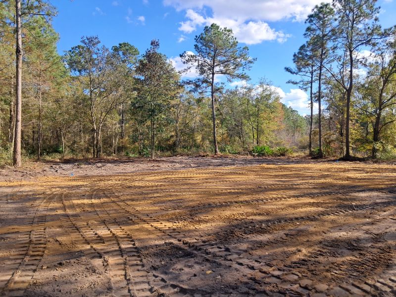 Land Clearing