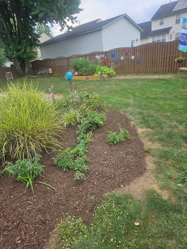 Landscape Design