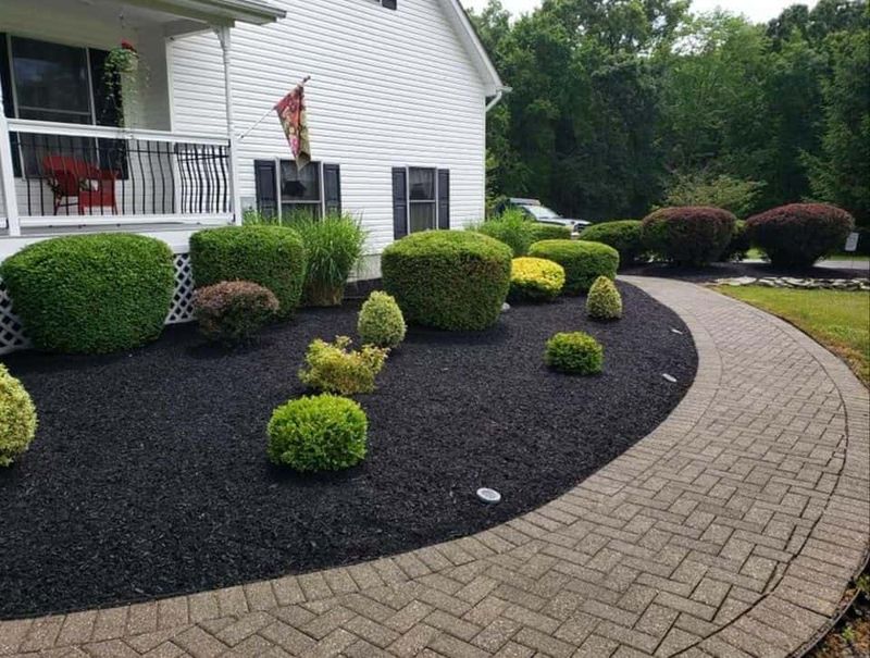 Lawn Care