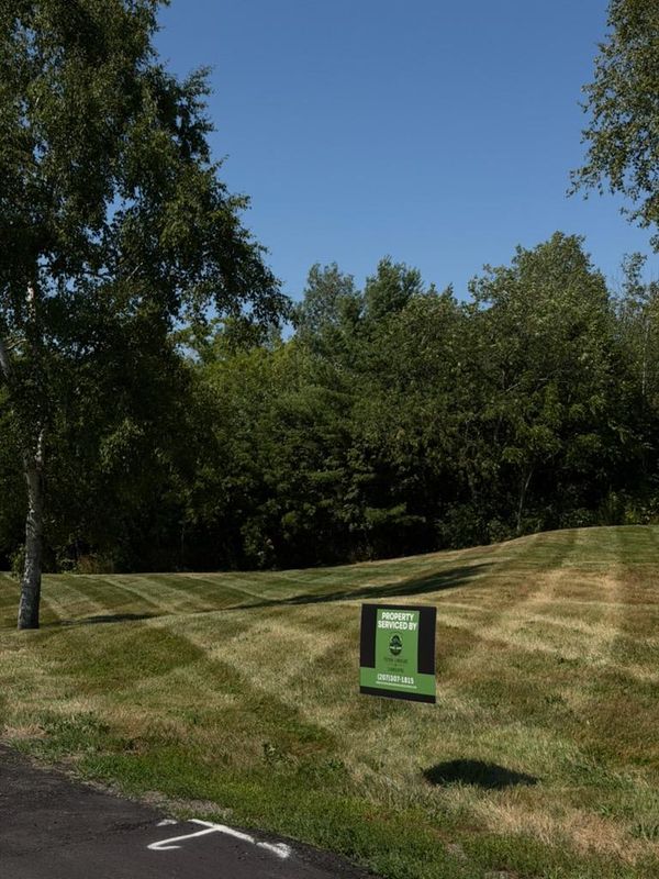Lawn Maintenance