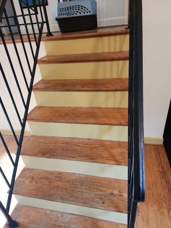 Carpet Installation and Repair