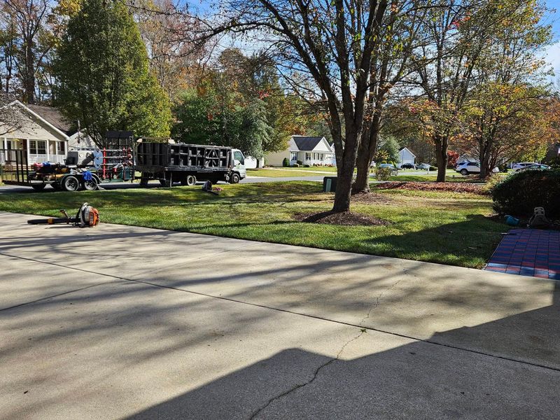 Lawn Maintenance