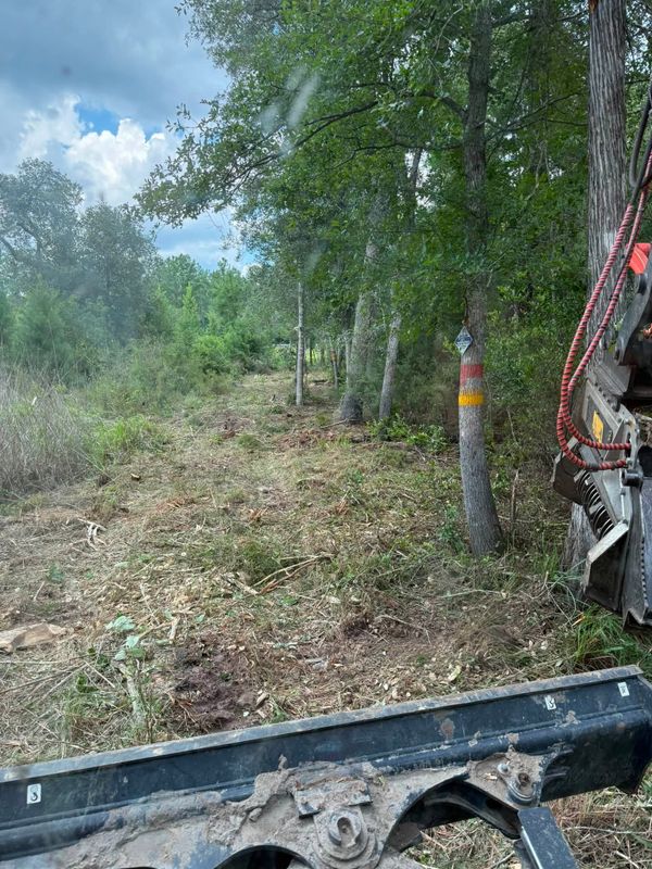 Land Clearing