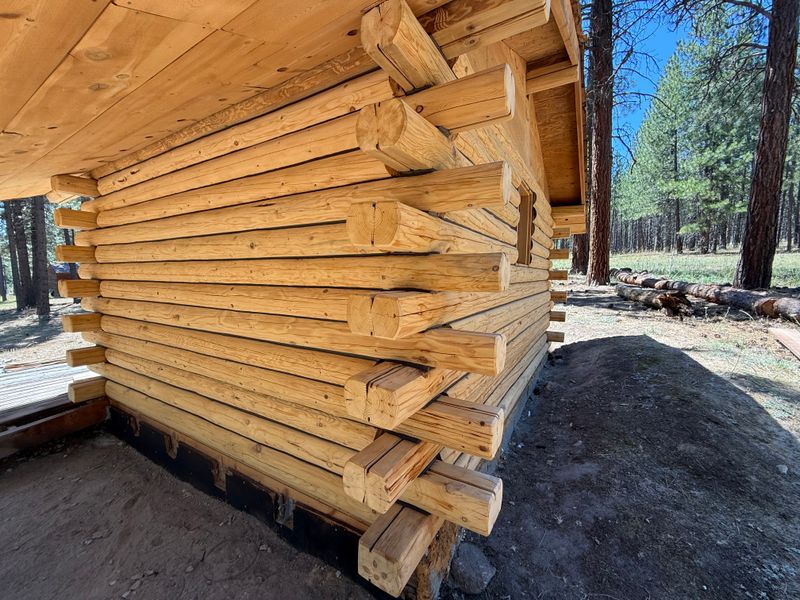 Log Home Restoration