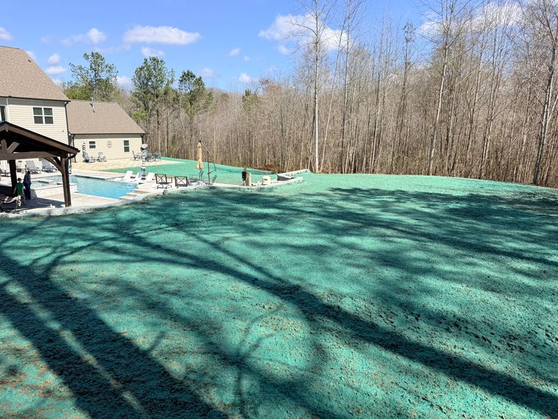 Hydroseeding gallery