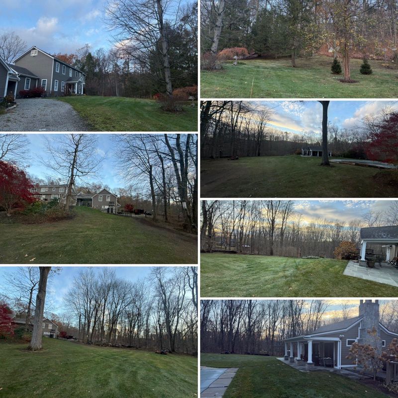 Lawn Maintenance