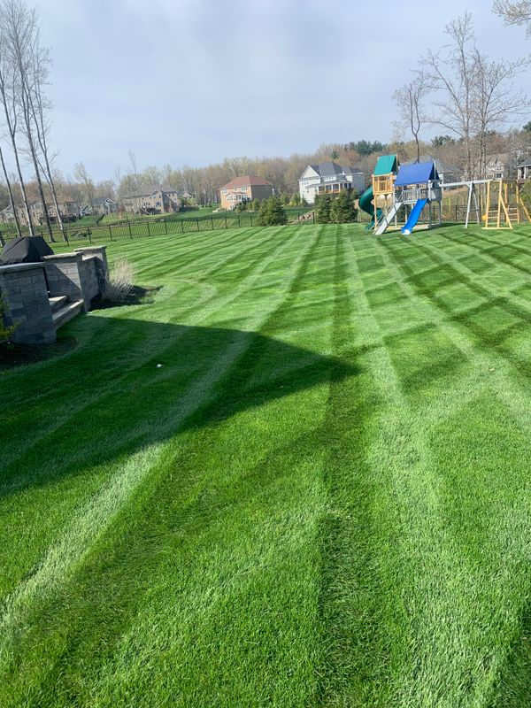 Landscape Maintenance