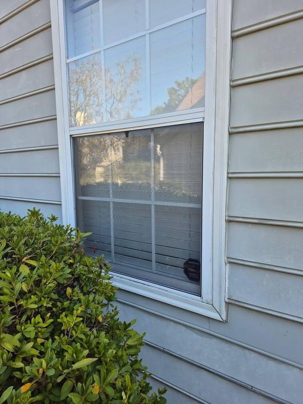 Other Glass Replacement