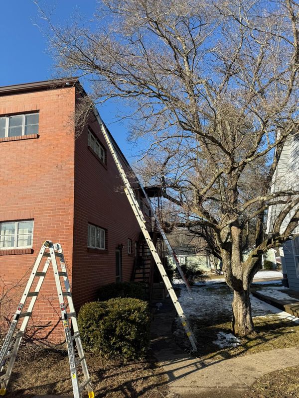 Gutter Maintenance