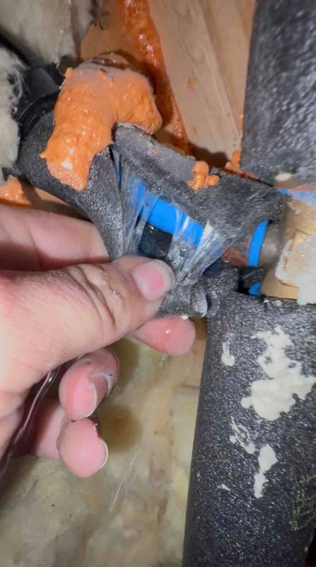 Above and Beyond Leak Resolution by AAA Home Services with Alex D.