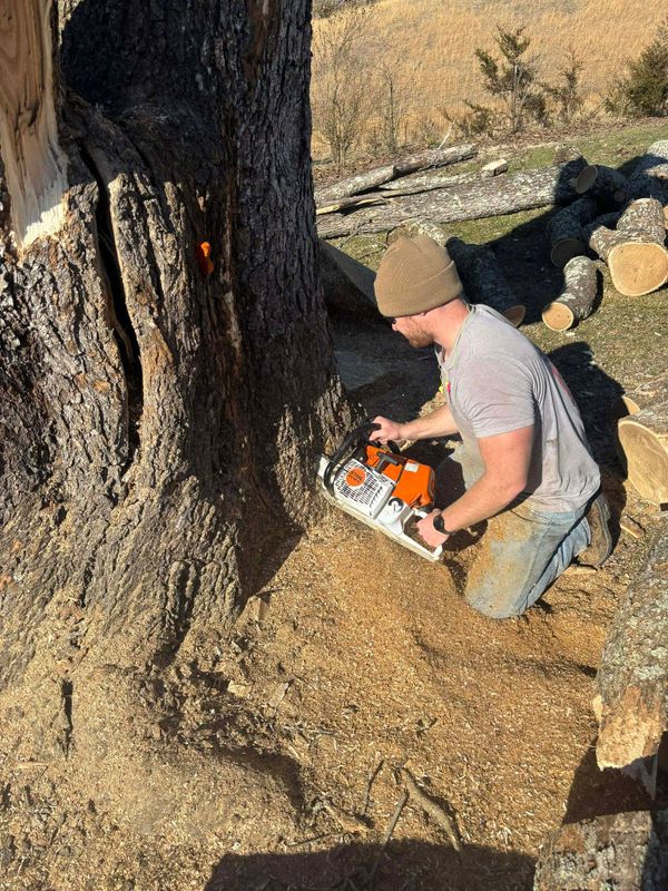 Stump Removal