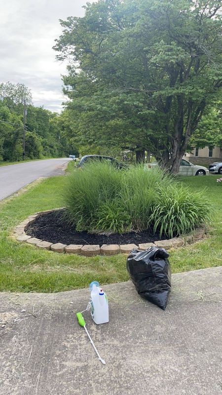 Garden Design and Installation