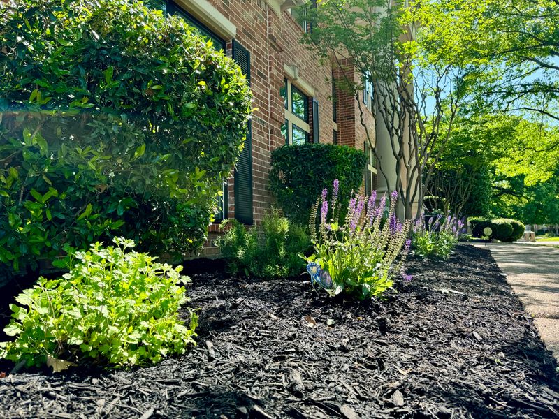 Landscape Design and Installation