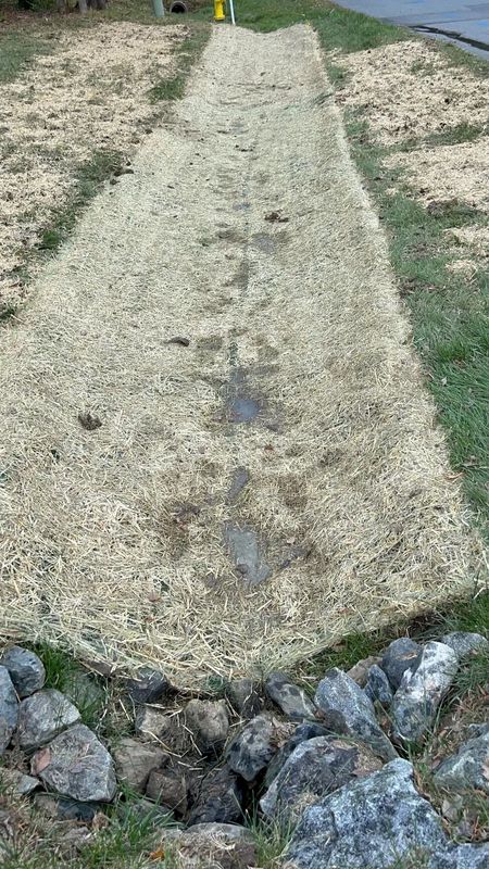 Swale Contruction
