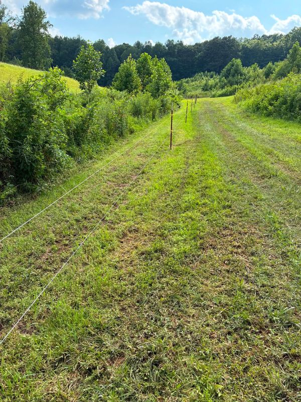 Fencing