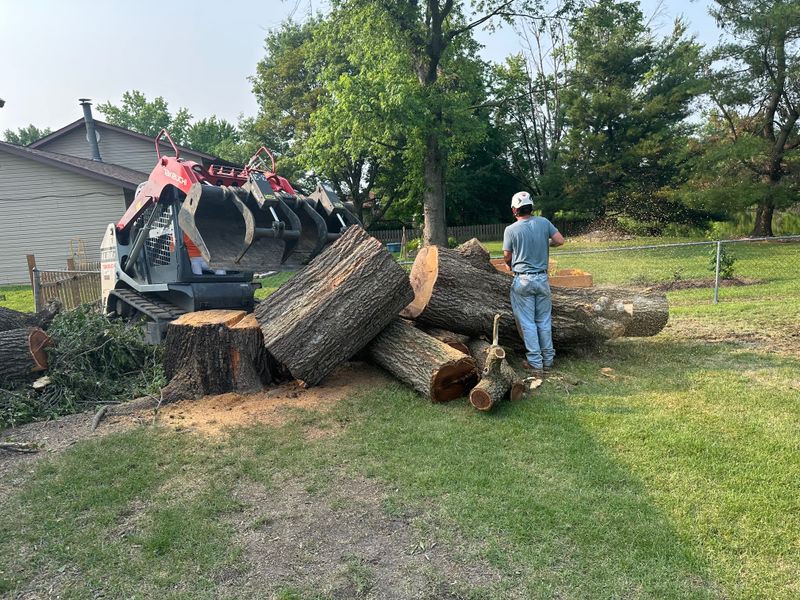 Emergency Tree Services