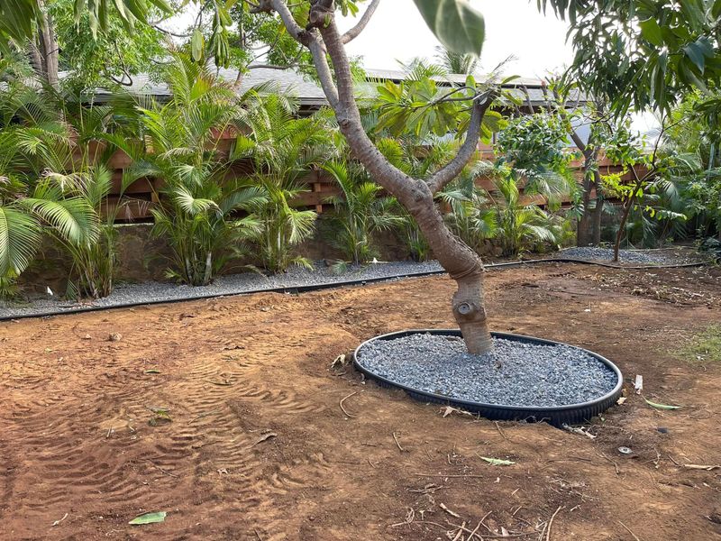 SOD Installation