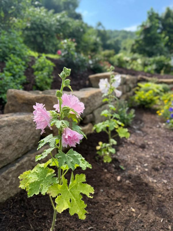 Landscape Design and Build