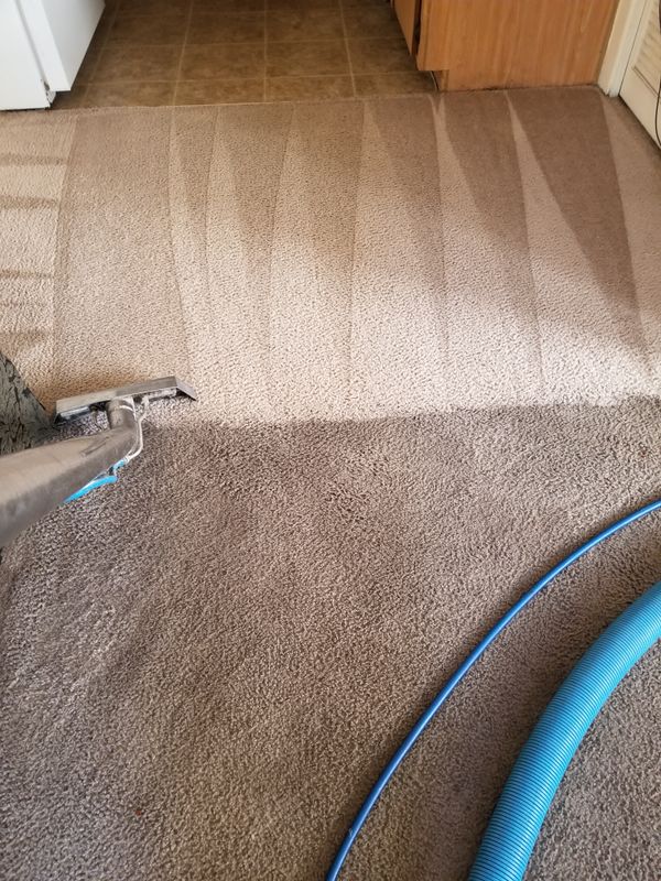 Carpet Cleaning gallery