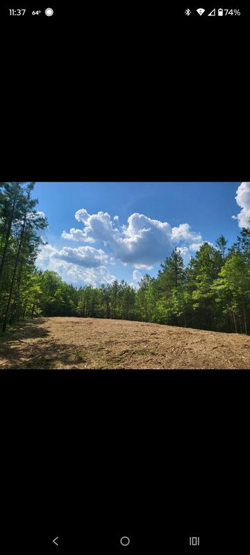 Land Clearing