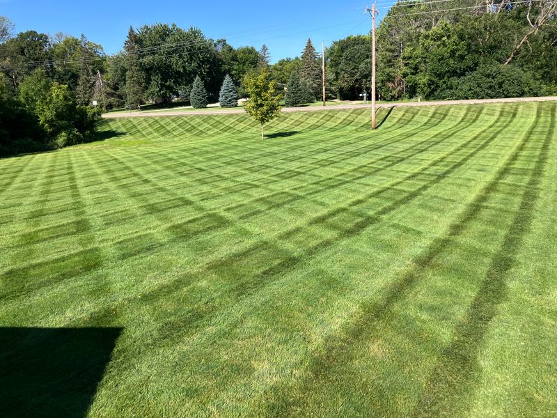 Landscape Maintenance