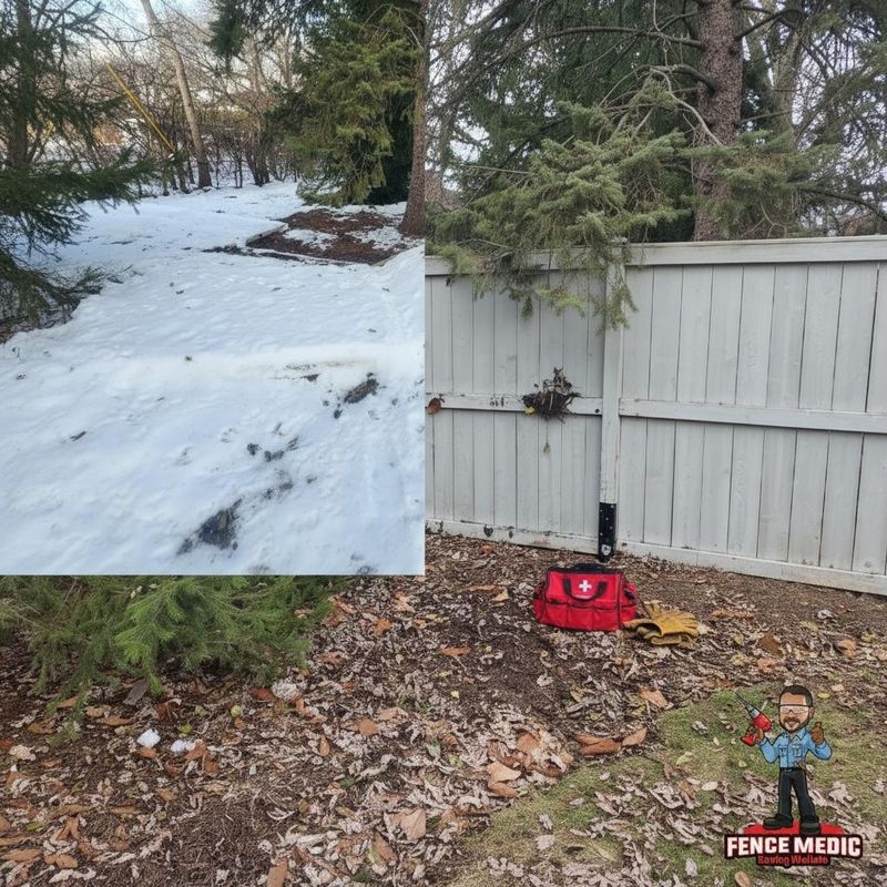 Fence Replacement