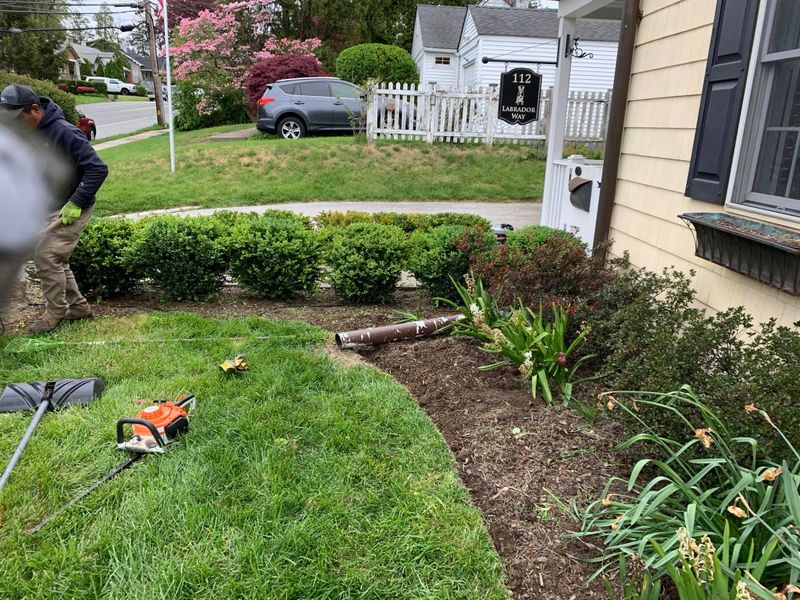 Landscape Design