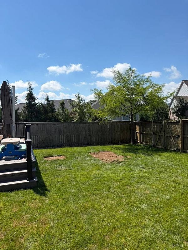 Property Cleanups