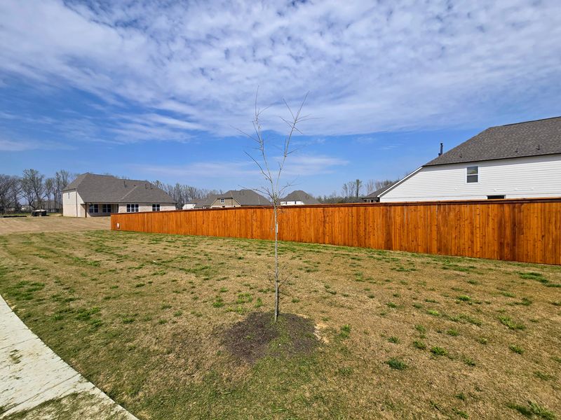 Fence Staining