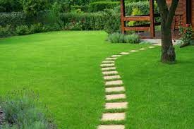 Lawn Care