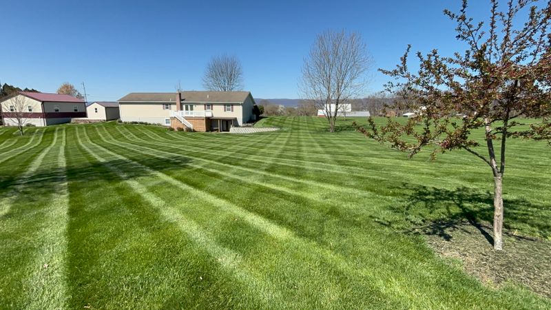 Lawn Mowing