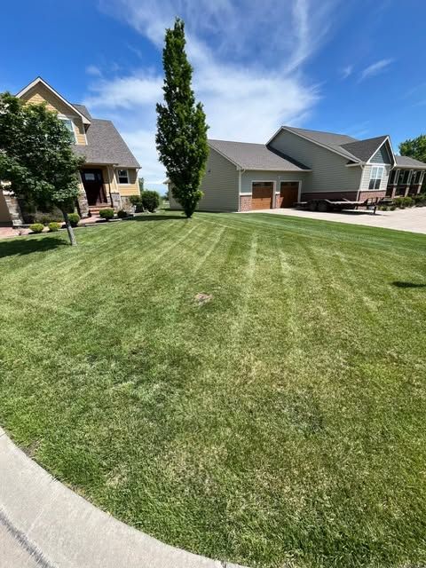 Lawn Maintenance