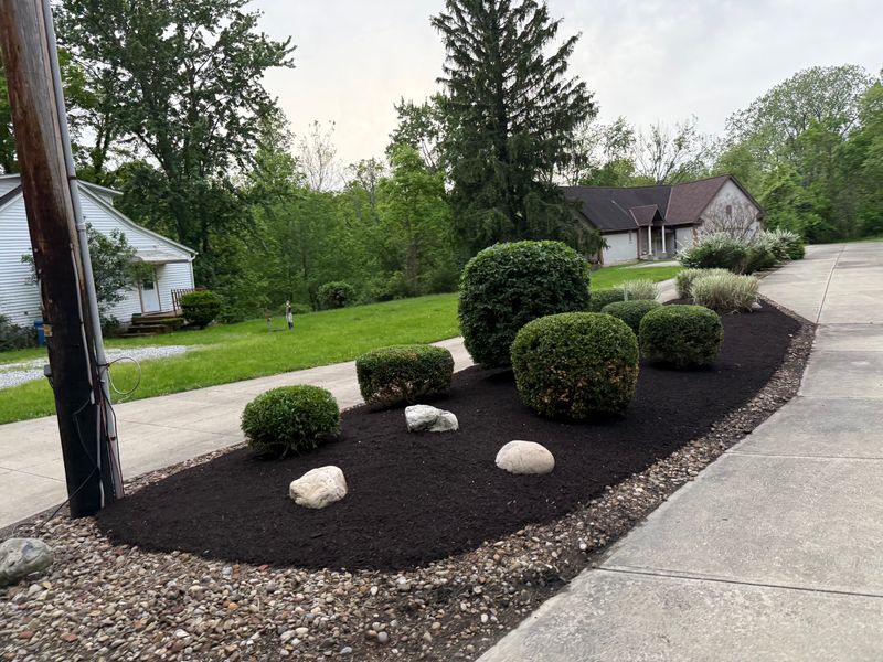 Shrub Trimming