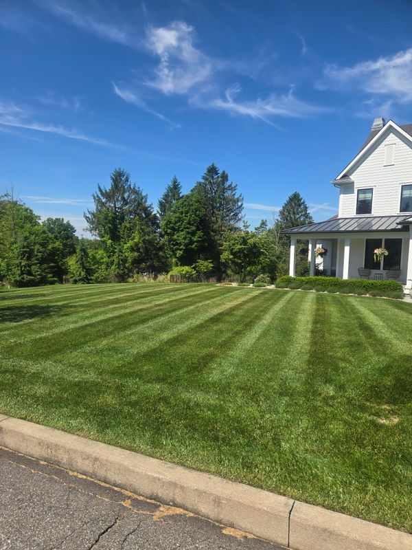 Lawn Maintenance