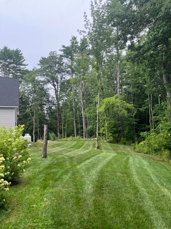 Lawn Maintenance