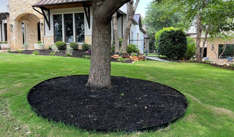 Shrub Trimming