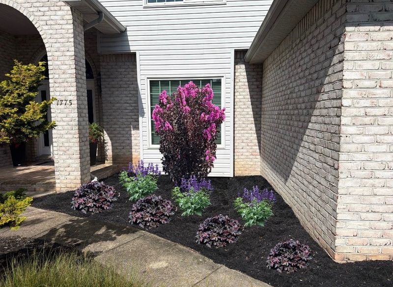 Landscape Design