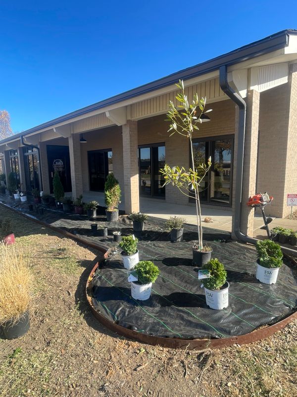 Landscape Design and Installation
