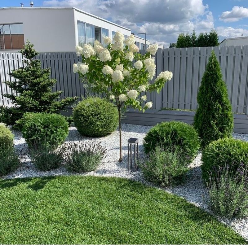 Xeriscapes 