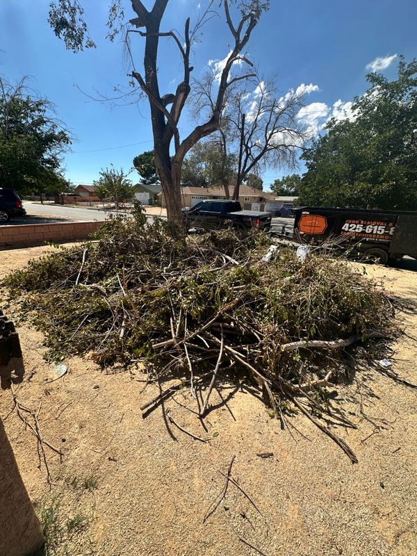 Yard Waste Removal