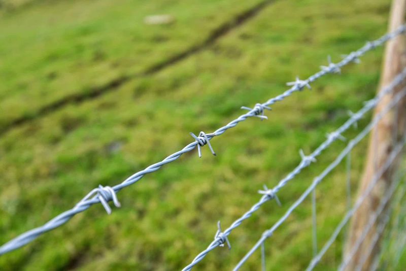 Barbed Wire